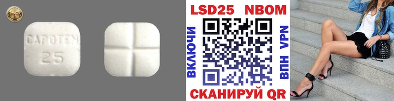 где купить   Жердевка  Лсд 25 экстази кислота 