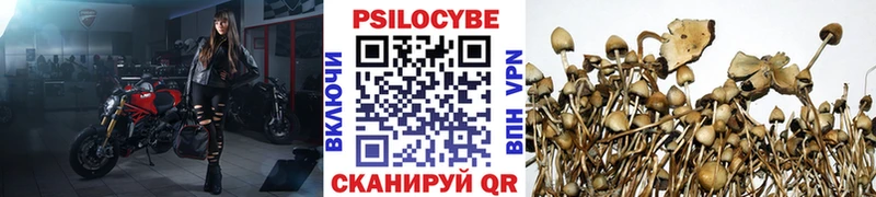 МЕГА сайт  Жердевка  Галлюциногенные грибы Magic Shrooms 
